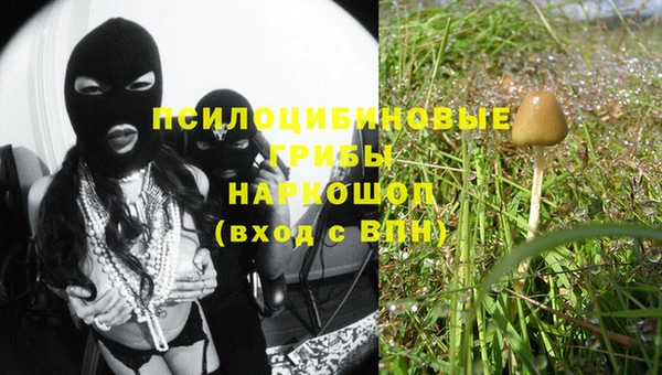 Альфа ПВП Елизово