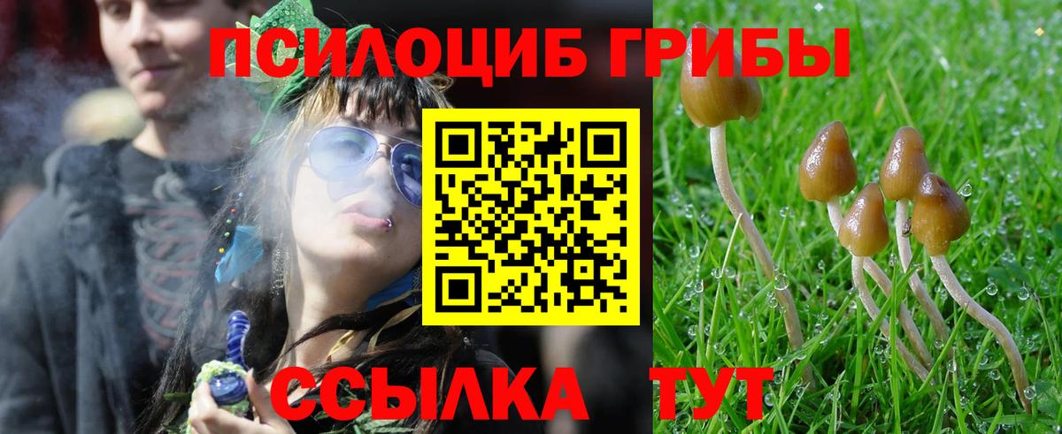 Псилоцибиновые грибы мухоморы Дедовск